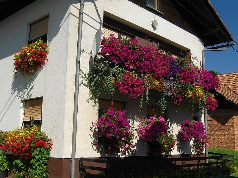 VOLIM HRVATSKU – VOLIM OSIJEK: IZBOR