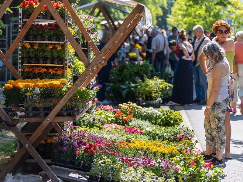 Festival cvijeća i drveća: poziv izlagačima